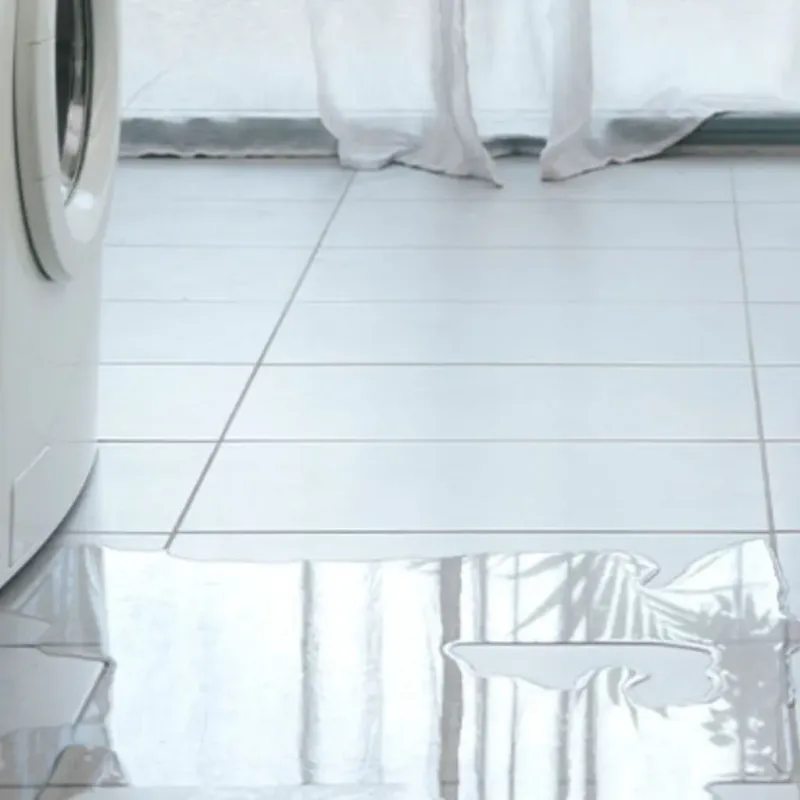 Appliance Leak Cleanup in Jasper County, GA