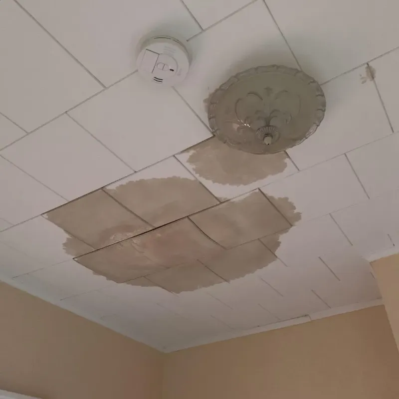 Ceiling Water Damage Repair in Jasper County, GA