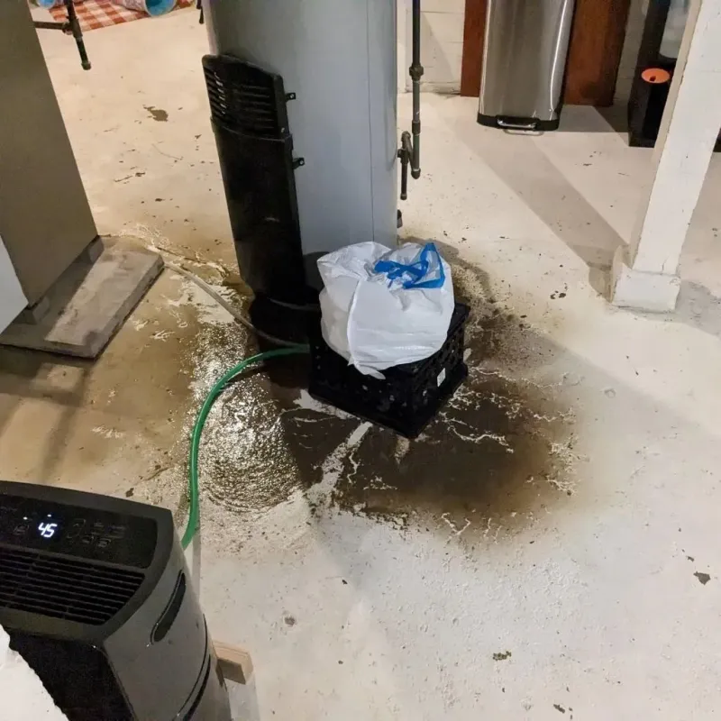 Sewage Backup Cleanup Service in Jasper County, GA